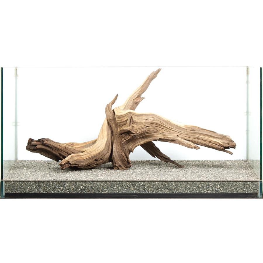 一点物 ゴーストウッド 大型水槽用 880044 : チャーム charm