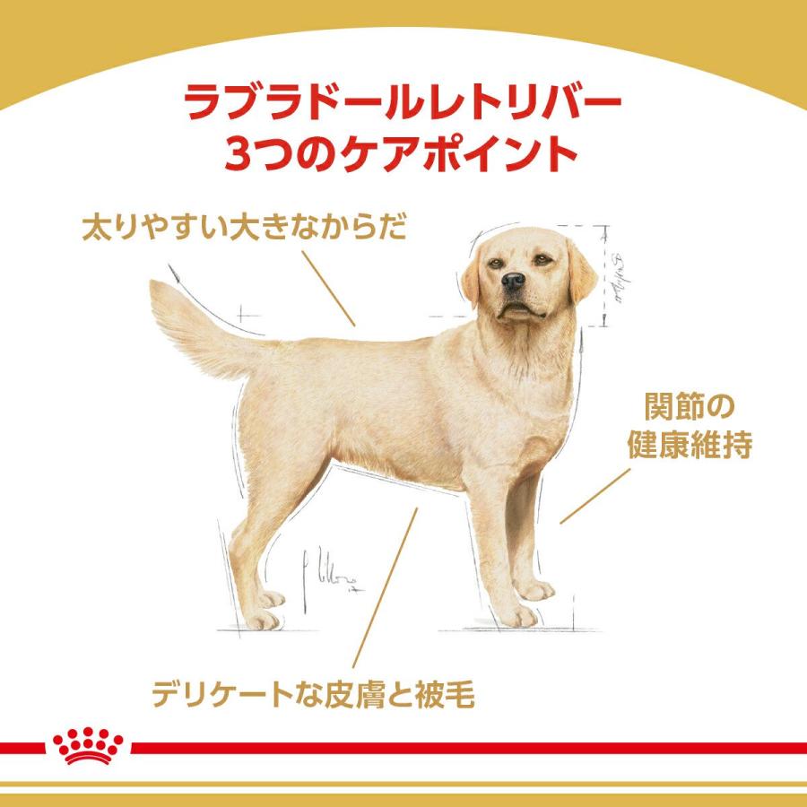 ロイヤルカナン（ROYAL CANIN） ラブラドールレトリバー 成犬〜高齢犬