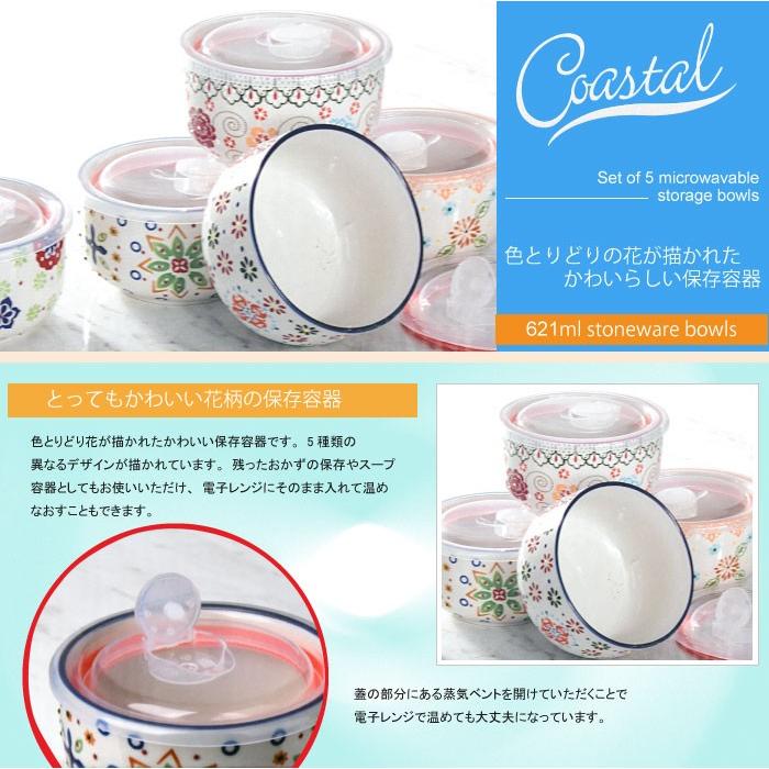 coastal 保存容器 5セット フタ付き容器 陶器 冷蔵庫 冷凍庫 電子