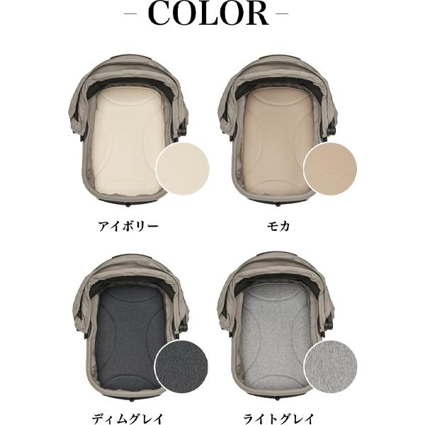 AIRBUGGY（エアバギー） 犬 カート WIZ X MAT マット ウィズエックス