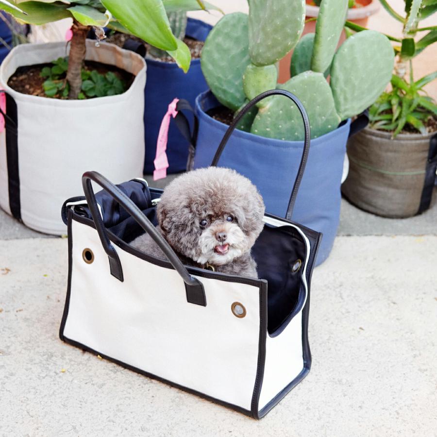 CITYDOG（シティドッグ） ペットキャリー 犬 キャリー バッグ 犬