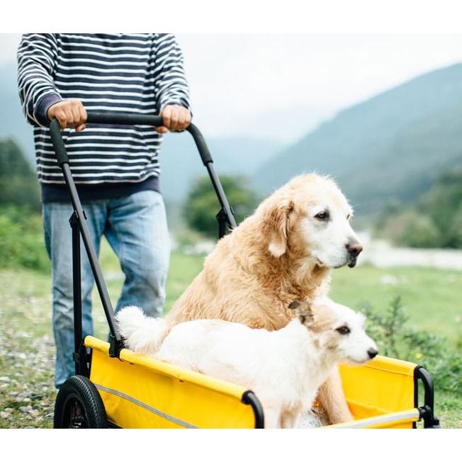 AIRBUGGY（エアバギー） フォードッグ キャリッジ セット ベリーレッド