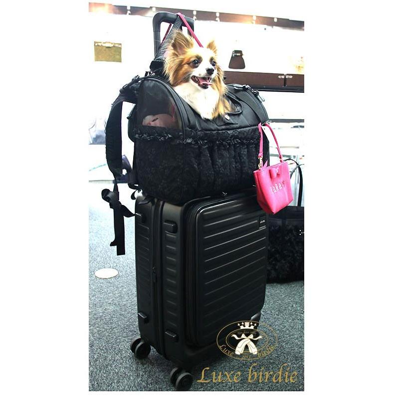 リュクスバーディ✖️fafaオリジナルキャリーバッグ リュクスバーディ