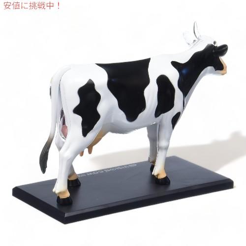 並行輸入品】Tedco テッドコ 4D Master 牛解剖模型 Vision Cow Model