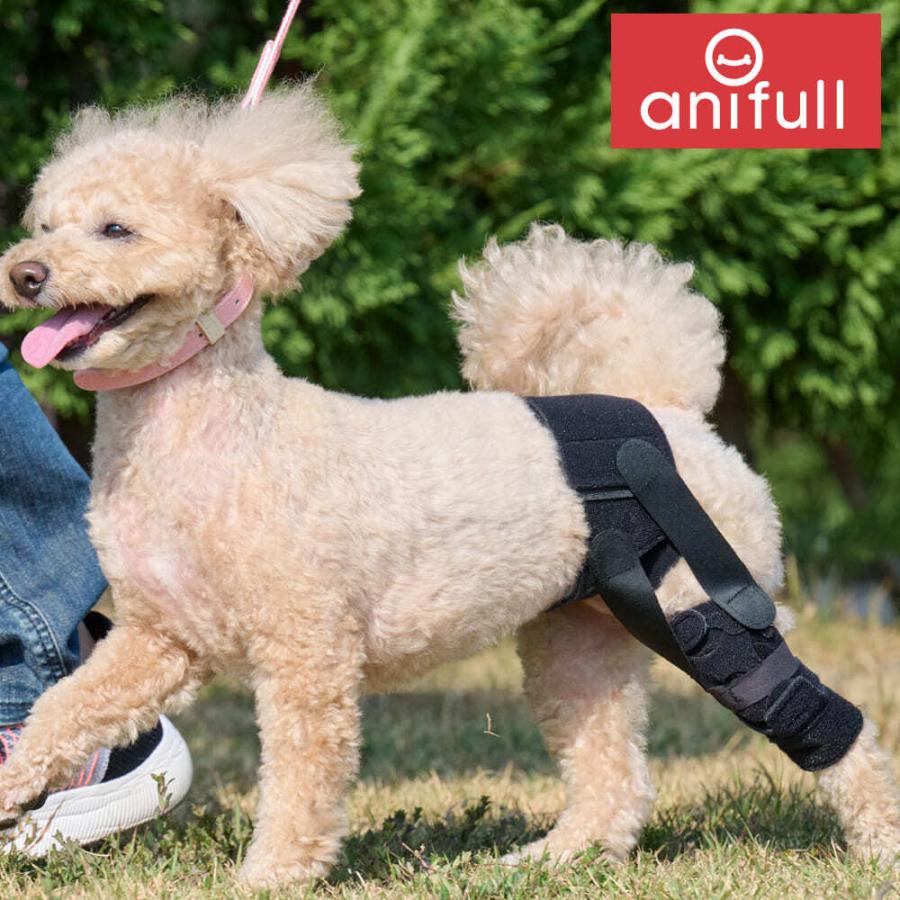 anifull 公式】 アニサポ パテラン 右 Mサイズ 小型犬向け アニフル