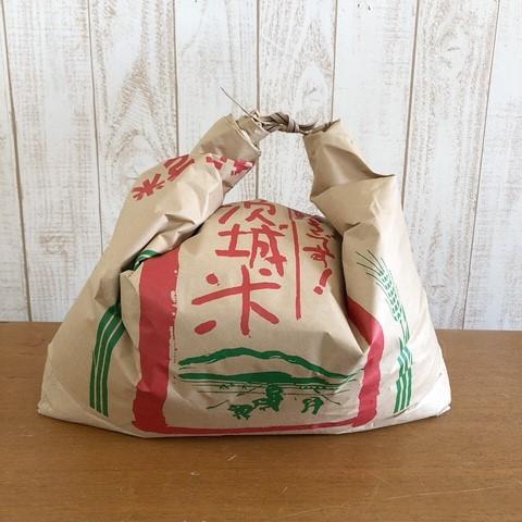 鳥の餌 鳥のエサ 砕米 10kg 送料無料 : あおき商店 - 通販 - Yahoo