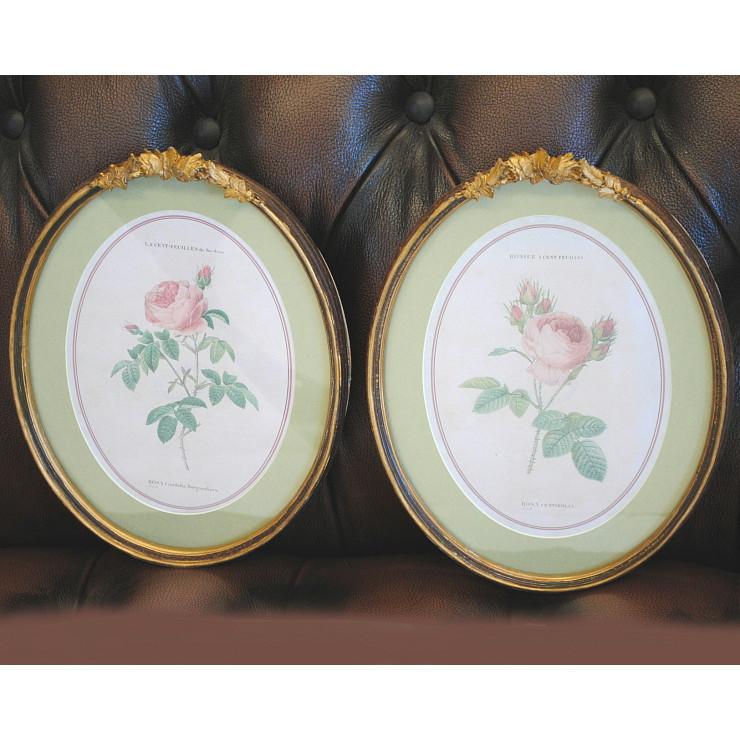 薔薇の飾り皿 金色縁取り アンティーク 薔薇の飾り皿 金色縁取り