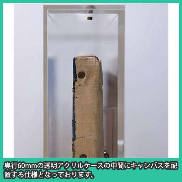 油彩キャンバス F10 額縁 壁掛け ケース ボックス 箱型 奥行 絵画 油絵