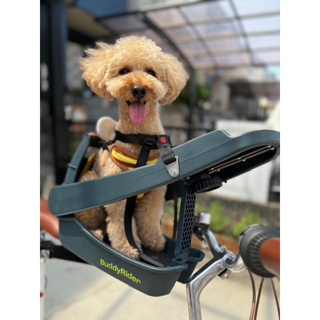 Buddyrider(バディーライダー) ◉ペット用自転車シート 割引