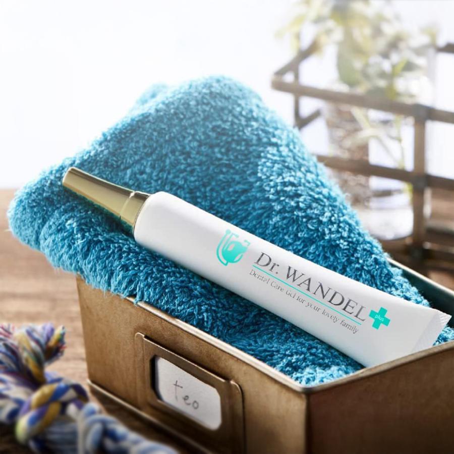 ドクターワンデルプラス 30g : ドッグサポートアエコム - 通販 - Yahoo