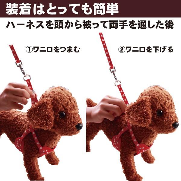 メール便送料無料 犬 ハーネスリード ハーネスリードセット 犬用 小型