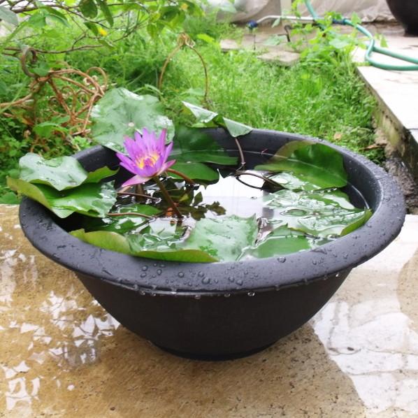 軽くて丈夫なスイレン鉢 直径38cmの小サイズ（黒）メダカにも