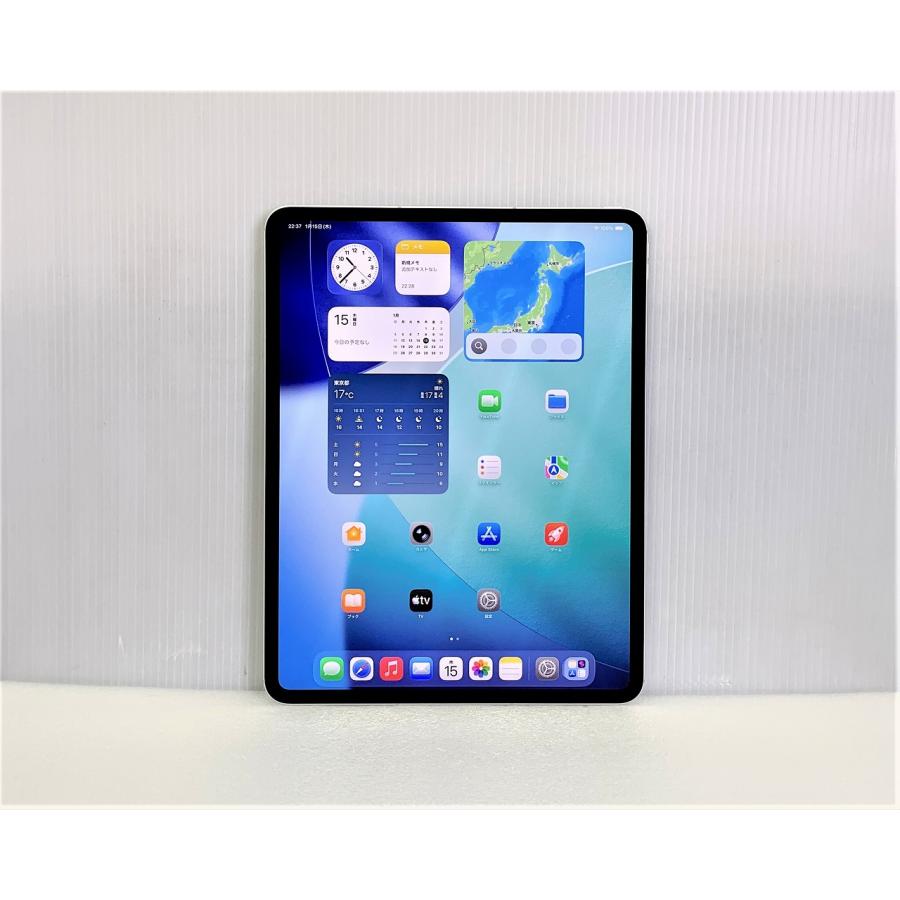 iPad Pro 中古 Apple 13インチ 第1世代 (M4) Wi-Fi + Cellular 256GB