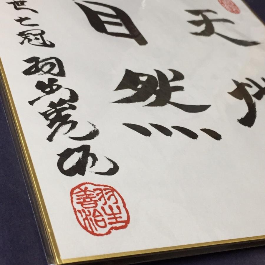 羽生善治九段 直筆サイン【揮毫】泰然自若