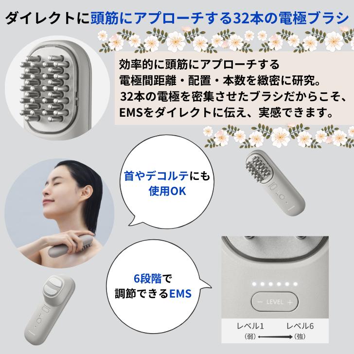 Panasonic（パナソニック） リフトケア 美顔器 防水仕様 EMS