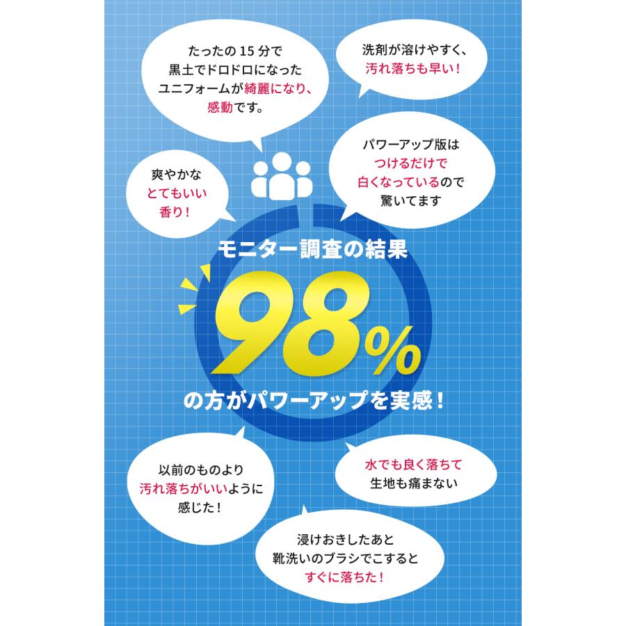 送料無料【本店】泥汚れ洗剤『レギュラー』9kg 爆買 野球 洗濯 ガンコ