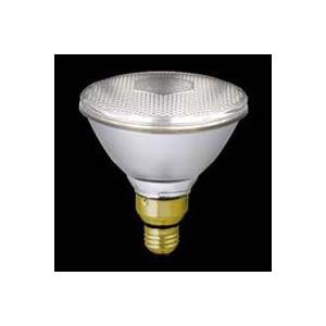 TOSHIBA（東芝） ビームランプ 散光形（フラッド） 100W形 屋内