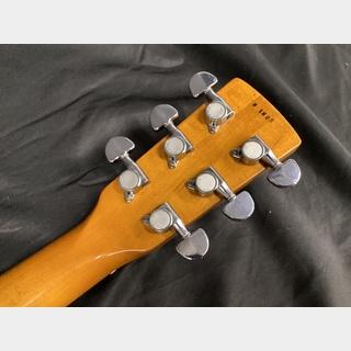 Greco（グレコ） Greco / D-80P (グレコ リゾネーターギター 国産