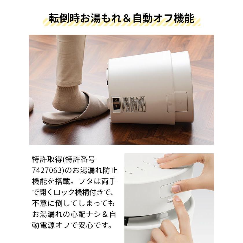 0（プラスマイナスゼロ） 選べる豪華特典 加湿器 スチーム式 スチーム