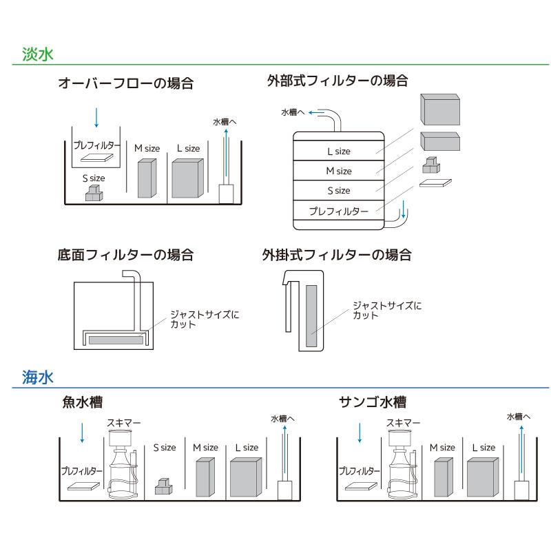 ZOOX バイオメディア Mサイズ ネクストジェネレーション バイオ