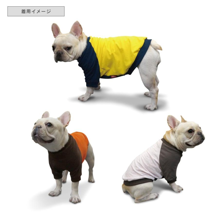 名入れ アメフト ラグラン Tシャツ メール便 送料無料 フレンチ