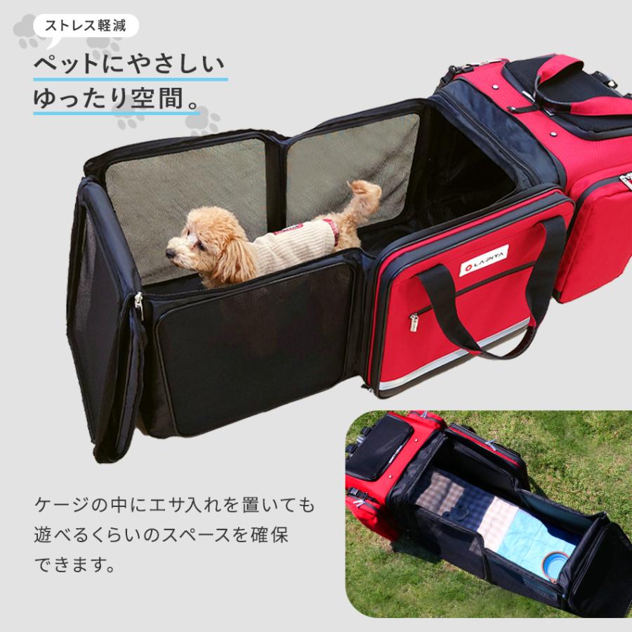 ペットリュック 運べるお部屋 キューブroom【犬 猫 折りたたみ