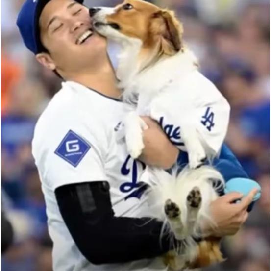 新品]大谷翔平選手 デコピン フィギュア ドジャース ボブルヘッド人形