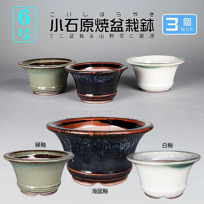 盆栽鉢 小石原焼6号深外縁丸鉢3点セット 山草鉢 植木鉢 口径18cm 小品
