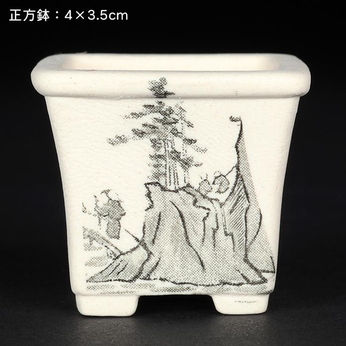 盆栽鉢 植木鉢 「瀬戸焼文山窯絵付小鉢12点セット」 絵鉢 絵付鉢 2号