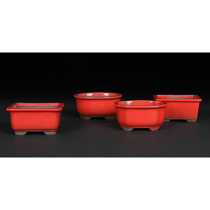 盆栽鉢 植木鉢 「瀬戸焼文山窯赤釉小鉢4点セット」 色鉢 3号 9cm