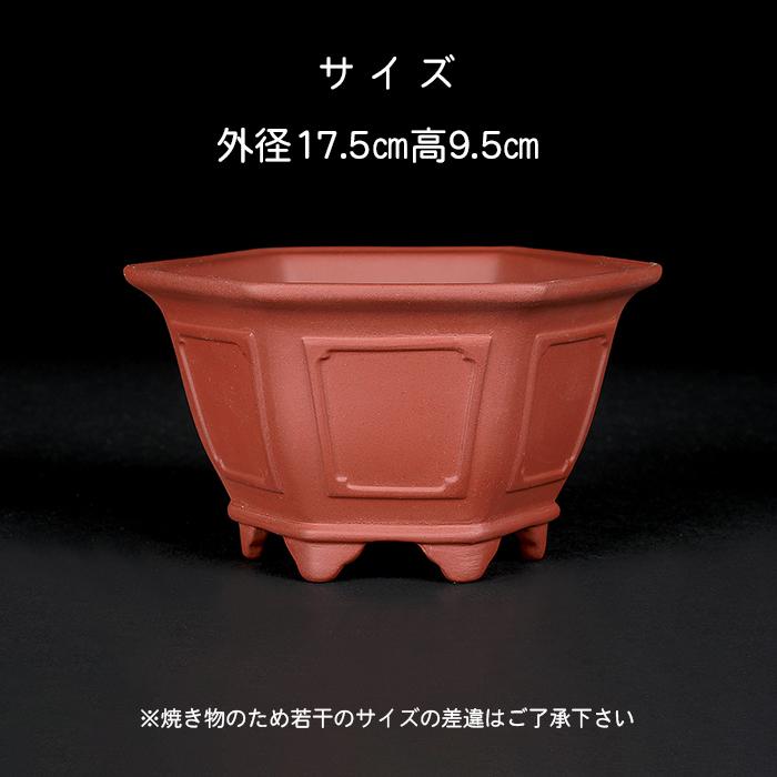 盆栽鉢 紫泥外縁額面正方鉢 朱泥 植木鉢 中国鉢 泥鉢 懸崖鉢 陶器 5号