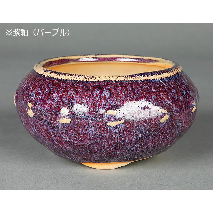 盆栽鉢 「広東色小鉢」 植木鉢 中国鉢 色小鉢 4号 11.5cm 小品盆栽