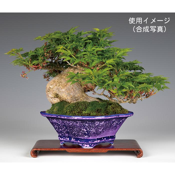 六方鉢 多肉植物鉢 紫砂の鉢盆栽鉢 植木鉢 小品盆栽鉢 大品盆栽鉢 多肉