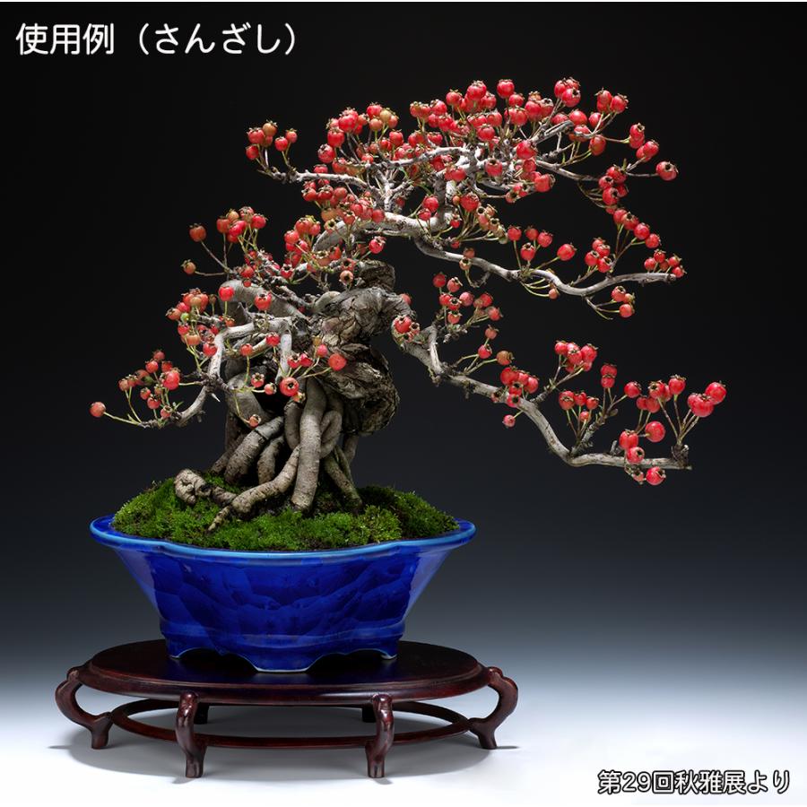 盆栽鉢 植木鉢 「平安泉山瑠璃釉花結晶木瓜式鉢 大」 山草鉢 色鉢