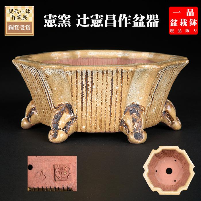 盆栽鉢 「憲窯白釉六角鉢」 植木鉢 辻憲昌 ケンヨウ 色鉢 陶器