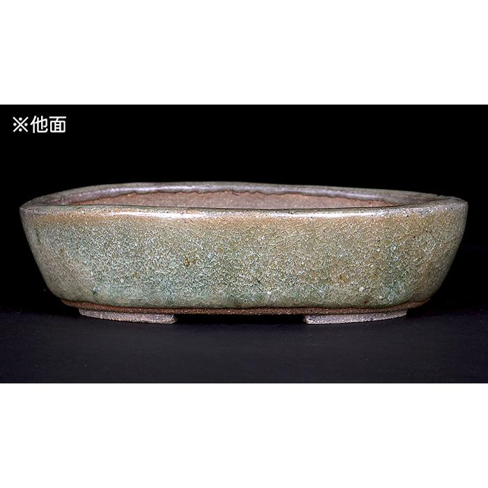 盆栽鉢 「東福寺水均釉窯変楕円鉢」 植木鉢 初代 平安東福寺 登窯 5号