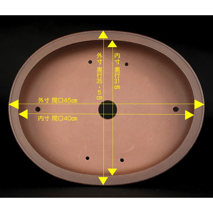 盆栽鉢 紫泥外縁上帯楕円鉢 植木鉢 中国鉢 張氏製陶 落款あり 15号