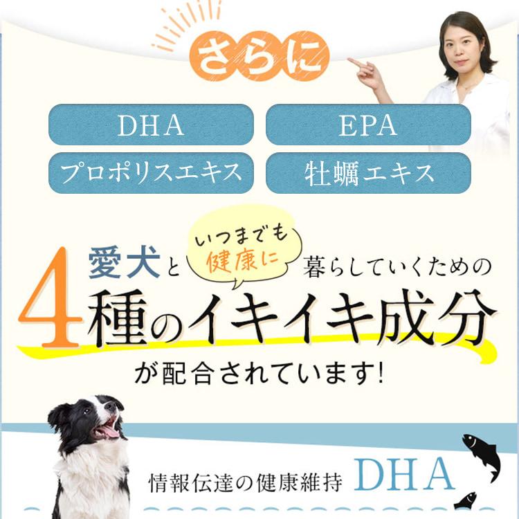 犬 サプリ ペット サプリメント てんかん シニア DHA EPA GABA