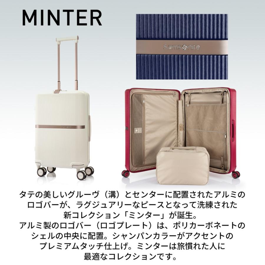 Samsonite（サムソナイト） 【ノベルティ特典】 サムソナイト正規品