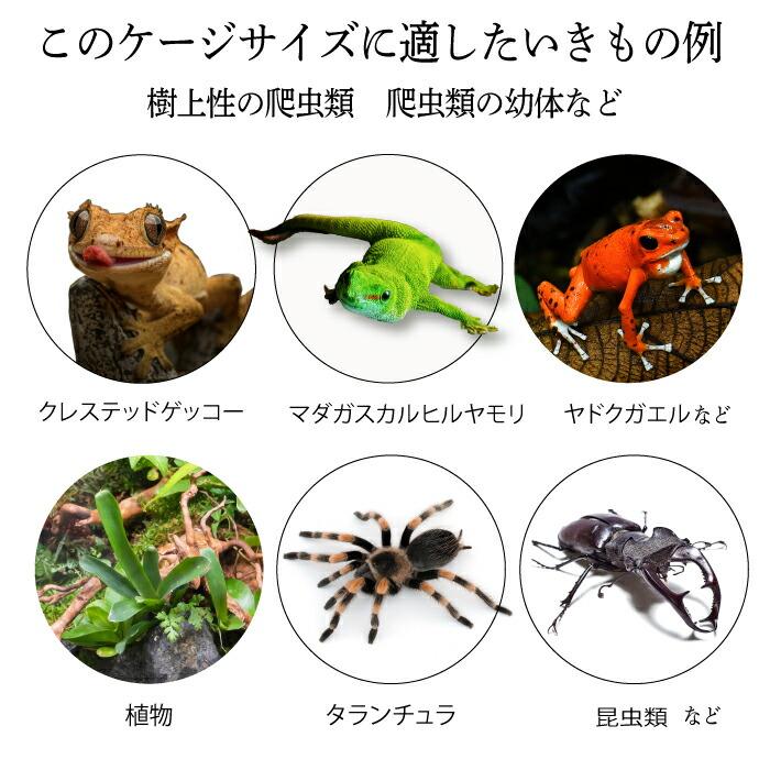 爬虫類ケージ アクリルケージ TOP-AC-SV04【アクリル4mm】20×20×30