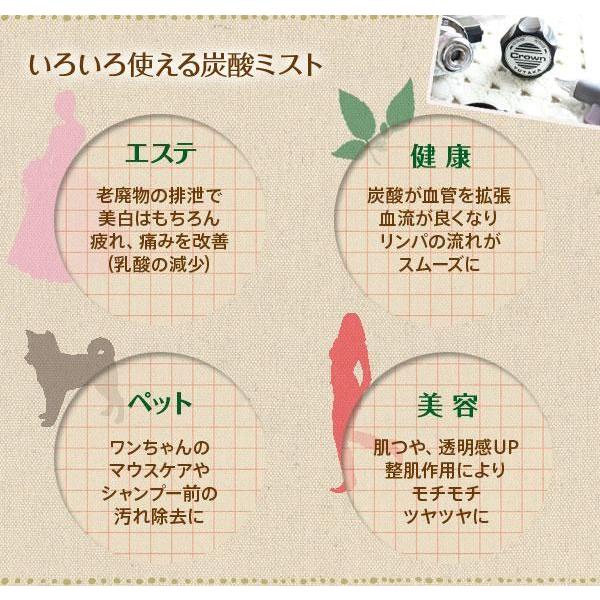 セラミド 炭酸ミスト 業務用 あすつく 送料無料 酸ミストシャワーを