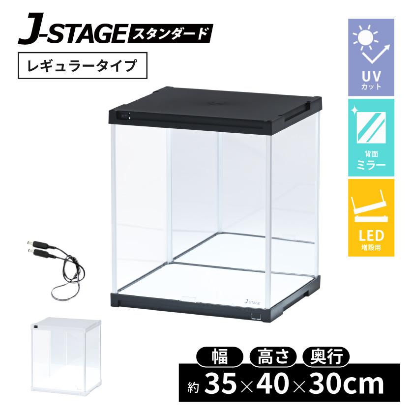 大小2皿 丹波 立杭焼 林造窯 穴窯（登り窯）