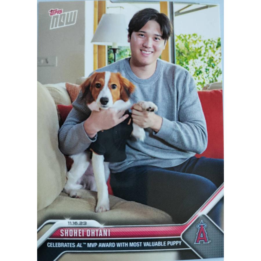 大谷翔平 愛犬デコピン共演 2023MVP受賞記念カード 24時間限定発売