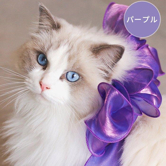 ダブルリボン(パープル①)わんちゃん猫ちゃん用首輪