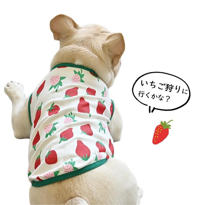 犬服 S わんこの普段着いちごケーキ