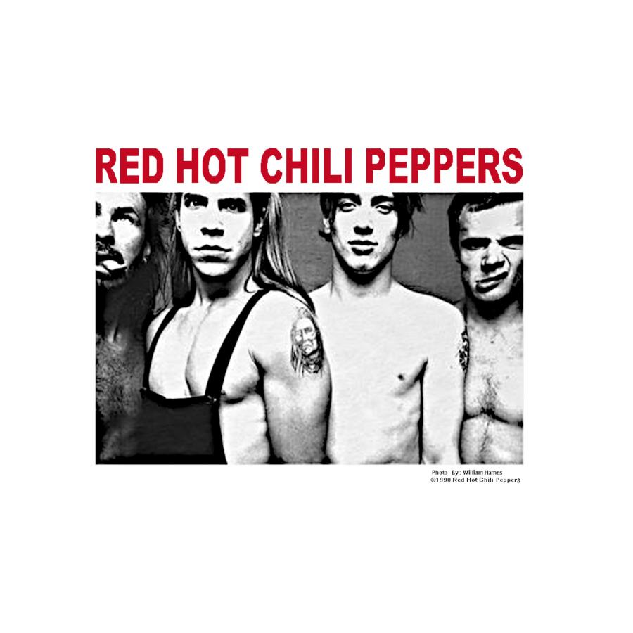 レッドホットチリペッパー レッチリ Tシャツ 半袖 白 黒 90年代 バンド