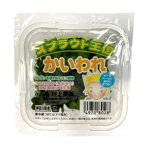 朝市場直行】神奈川県ほか かいわれ 貝割れ大根 カイワレ PC 約50g