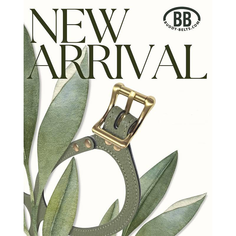 バディーベルト ハーネス 3.5号 セージ Sage 小型犬 ペット レザー 本