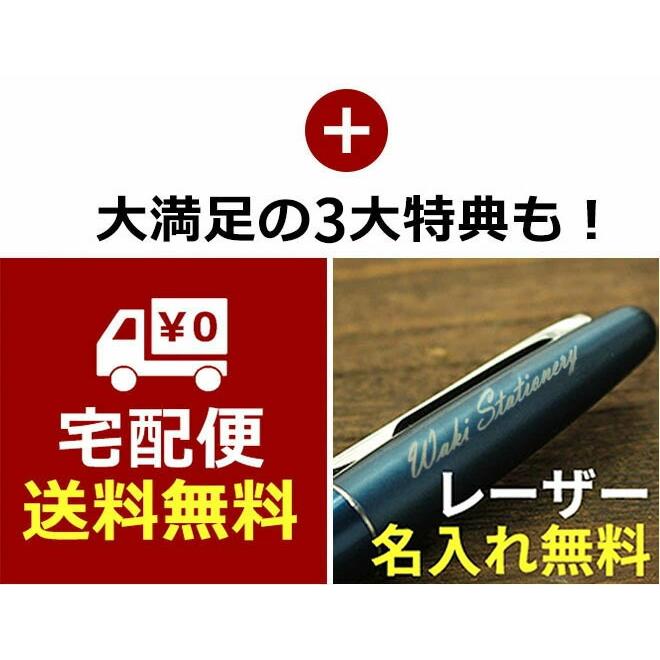 PILOT（パイロット） 名入れ 無料 万年筆ギフトセット コクーン + 色彩