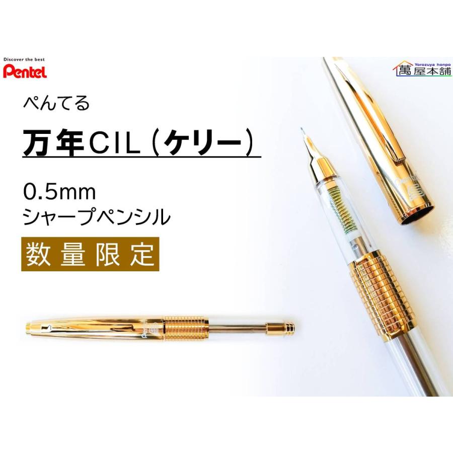 ぺんてる（Pentel） ぺんてる〈数量限定〉万年CIL（ケリー）シャープ